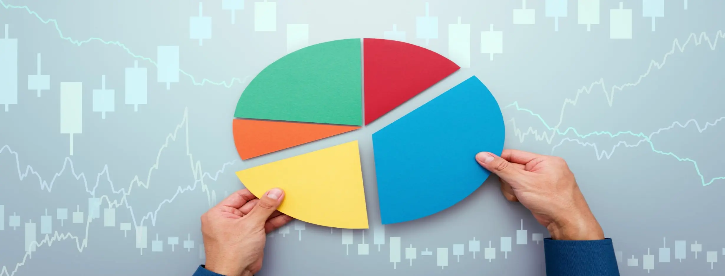 Image for Investment Diversity